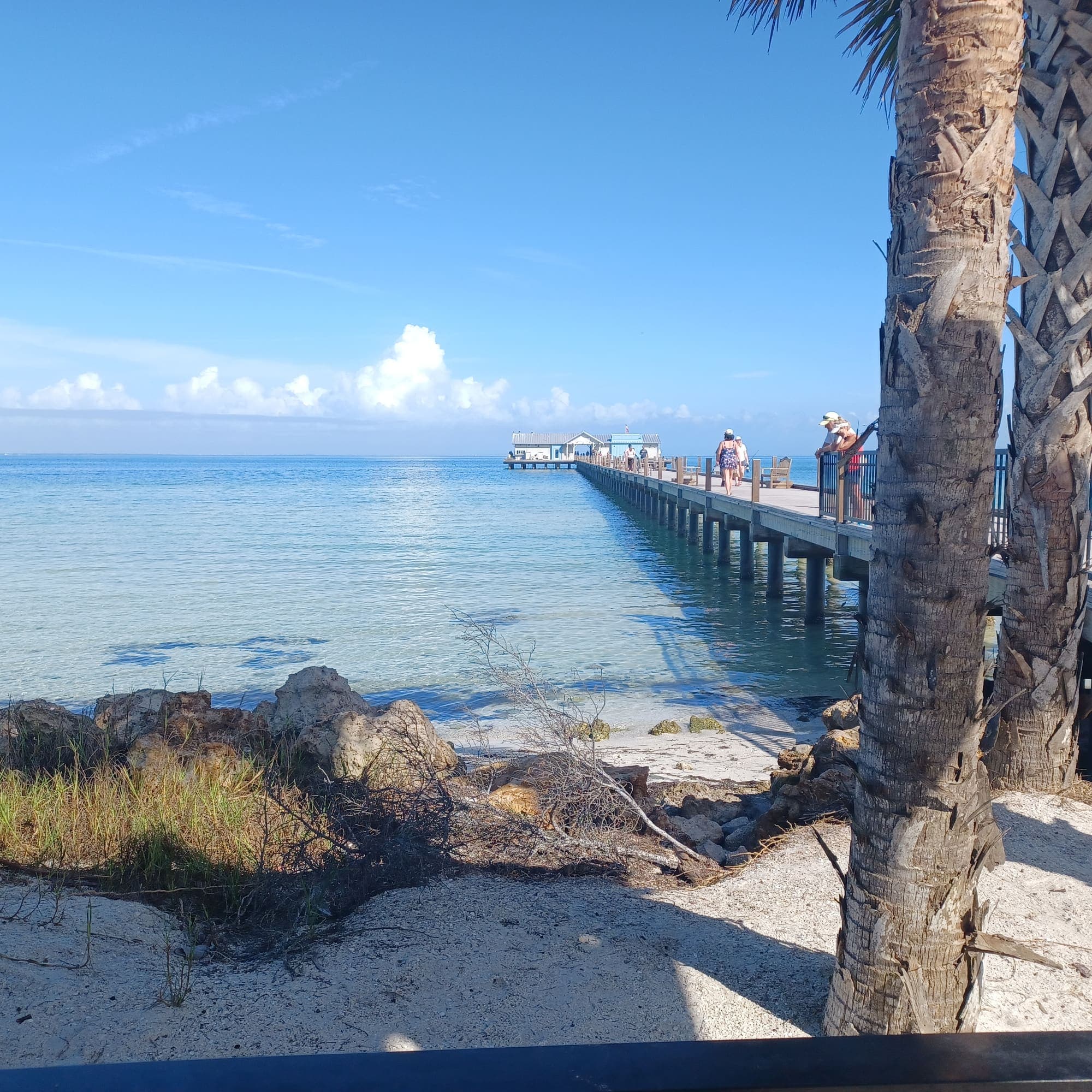 The Anna Maria City Pier reaching out into Tampa Bay