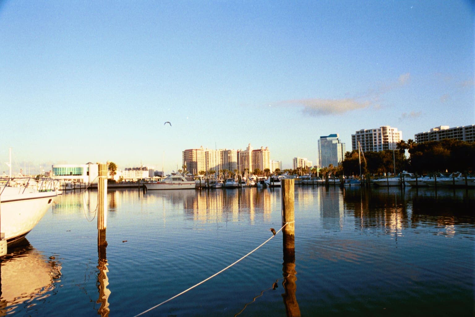 Bayfront Park Marina in Sarasota